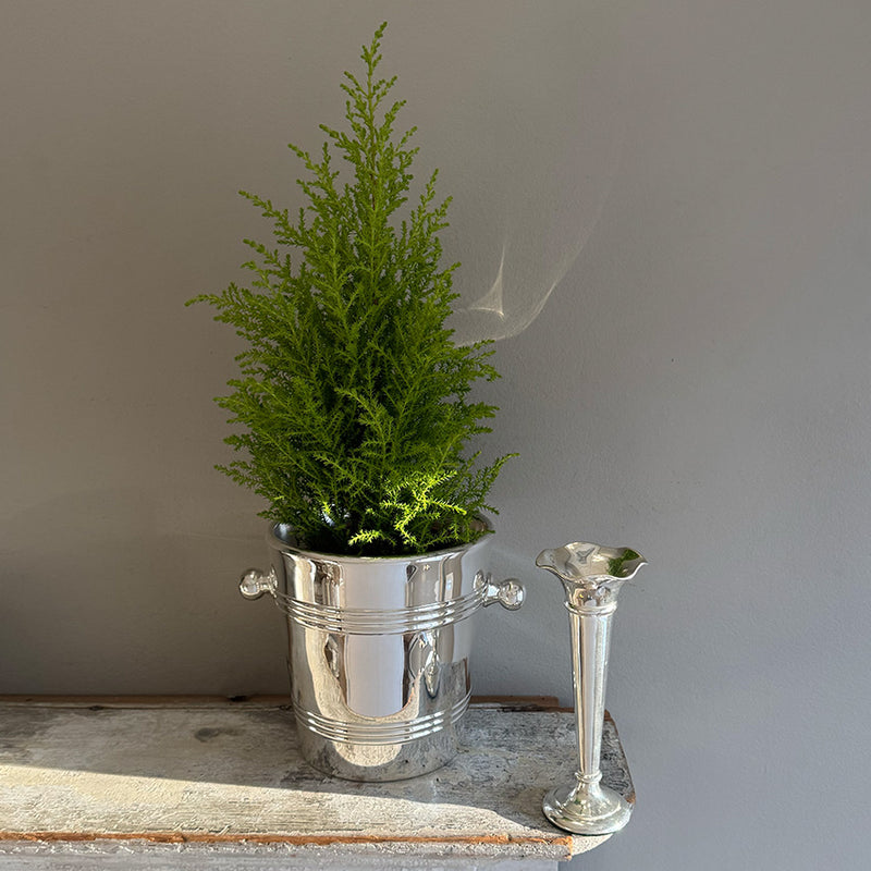 Vintage 6.5" Trumpet Vase with Wavy Top Rim