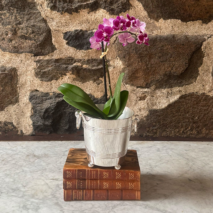 Vintage 5.5" Ice Bucket with Ring Handles