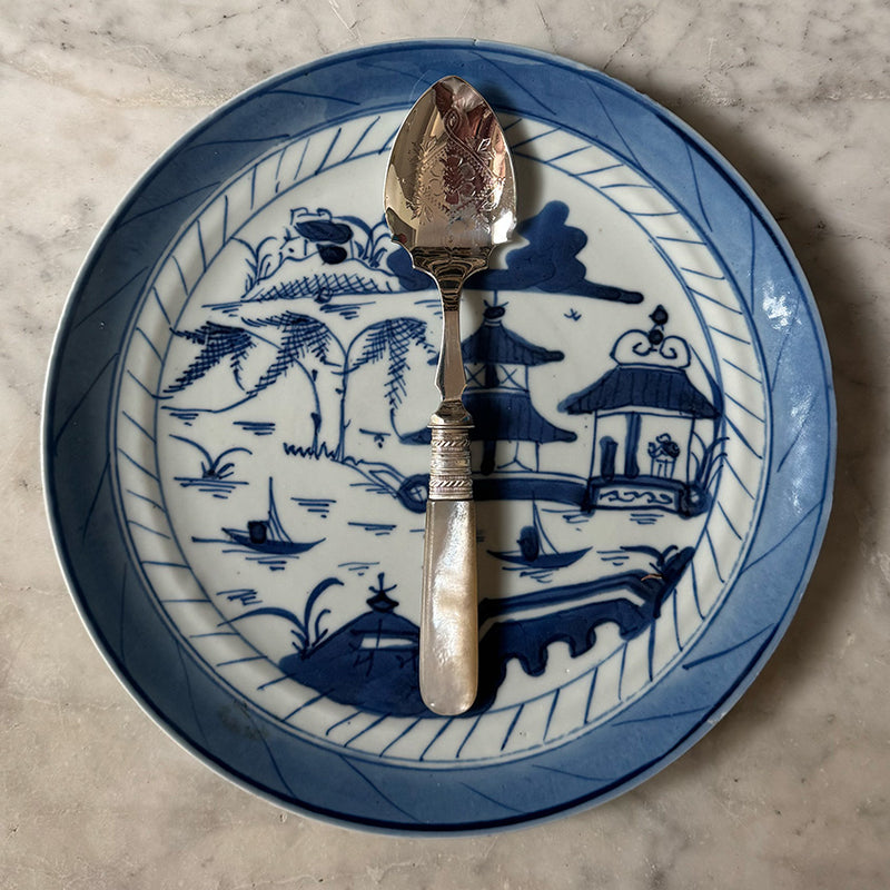 Vintage Jam Spoon, Mother-of-Pearl Handle