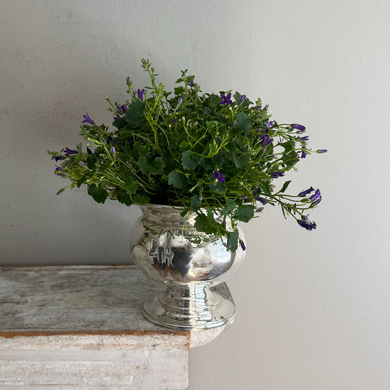 Vintage Fern Pot/Vase