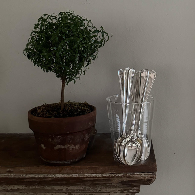 Set of 10 Vintage Ice Cream Spoons