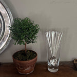 Set of 6 Vintage Ice Cream Spoons