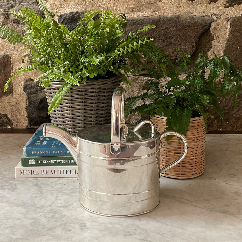 Vintage Watering Can, Curved Spout