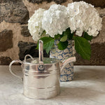 Vintage Watering Can, Curved Spout